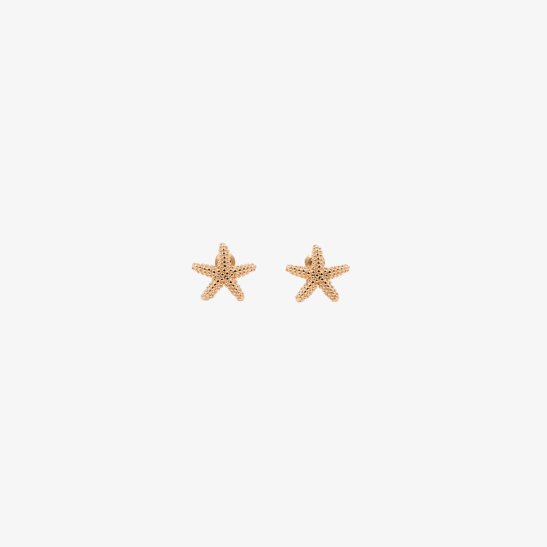 Starfish Earrings