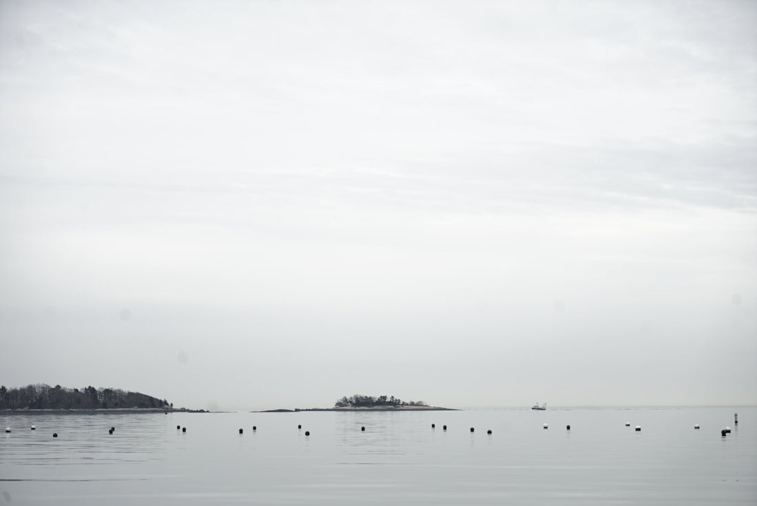 10 principles for regenerative ocean agriculture from Eat Like a Fish