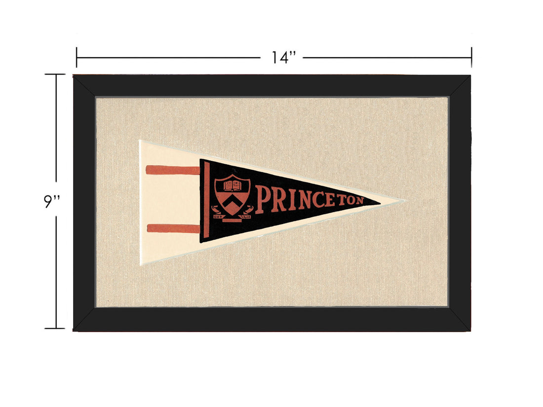 Vintage Princeton Pennant