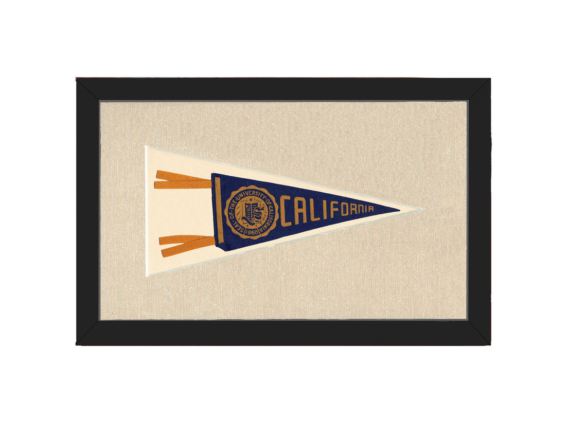 Vintage University of California Pennant
