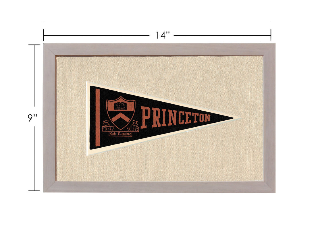 Vintage Princeton Pennant