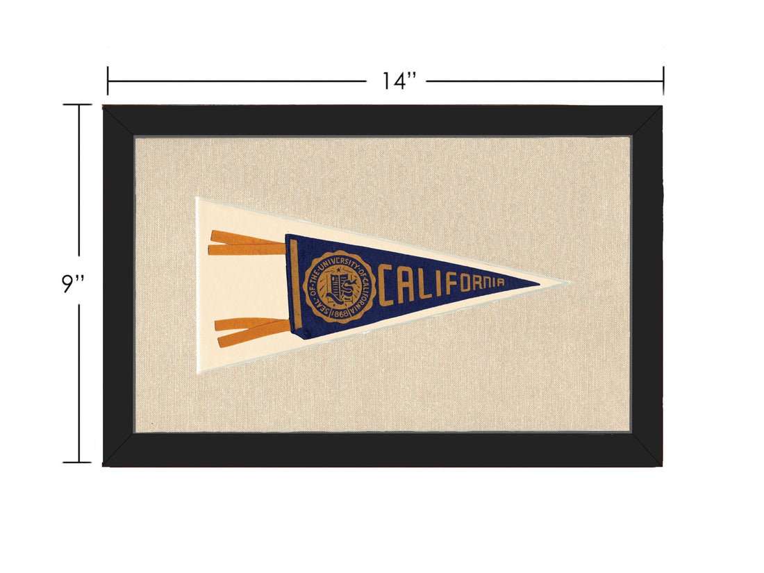Vintage University of California Pennant
