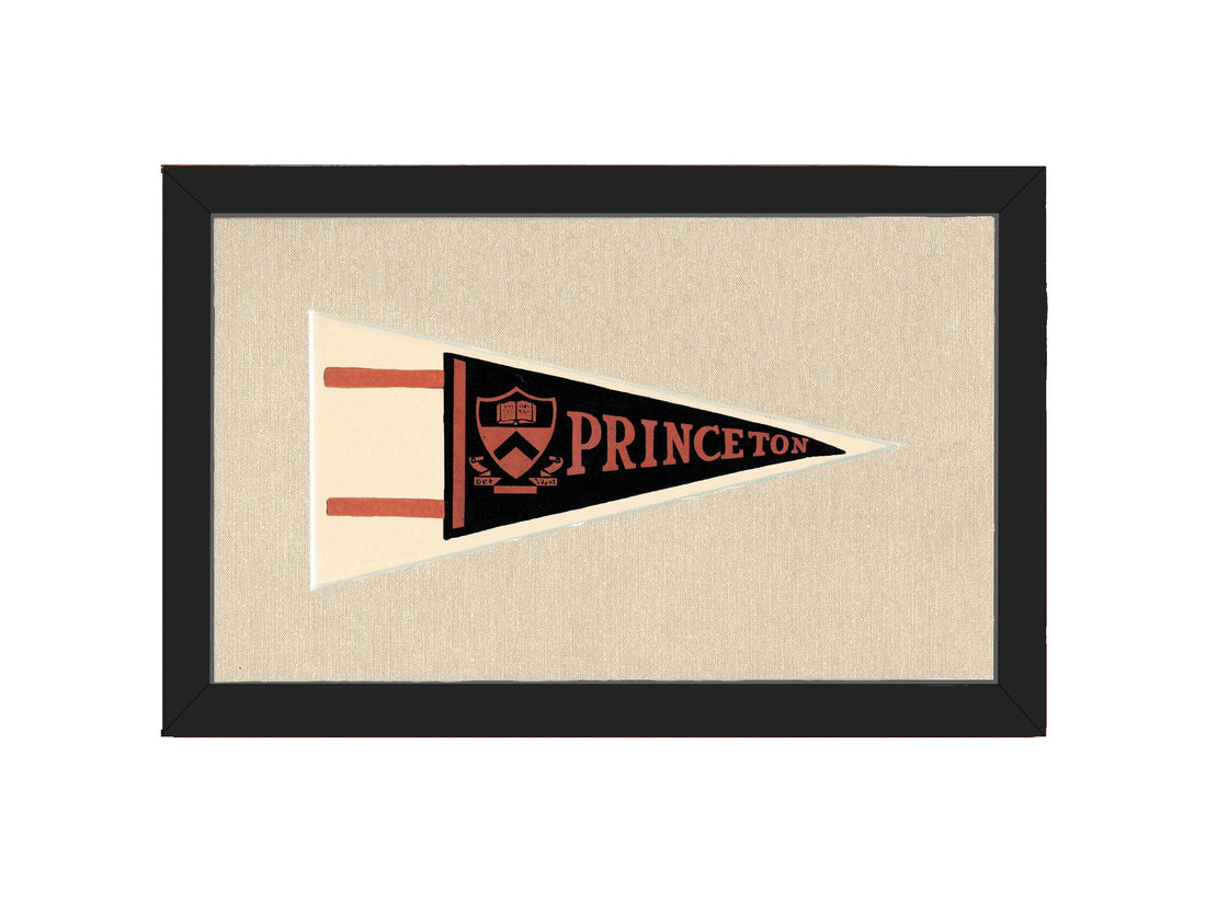 Vintage Princeton Pennant