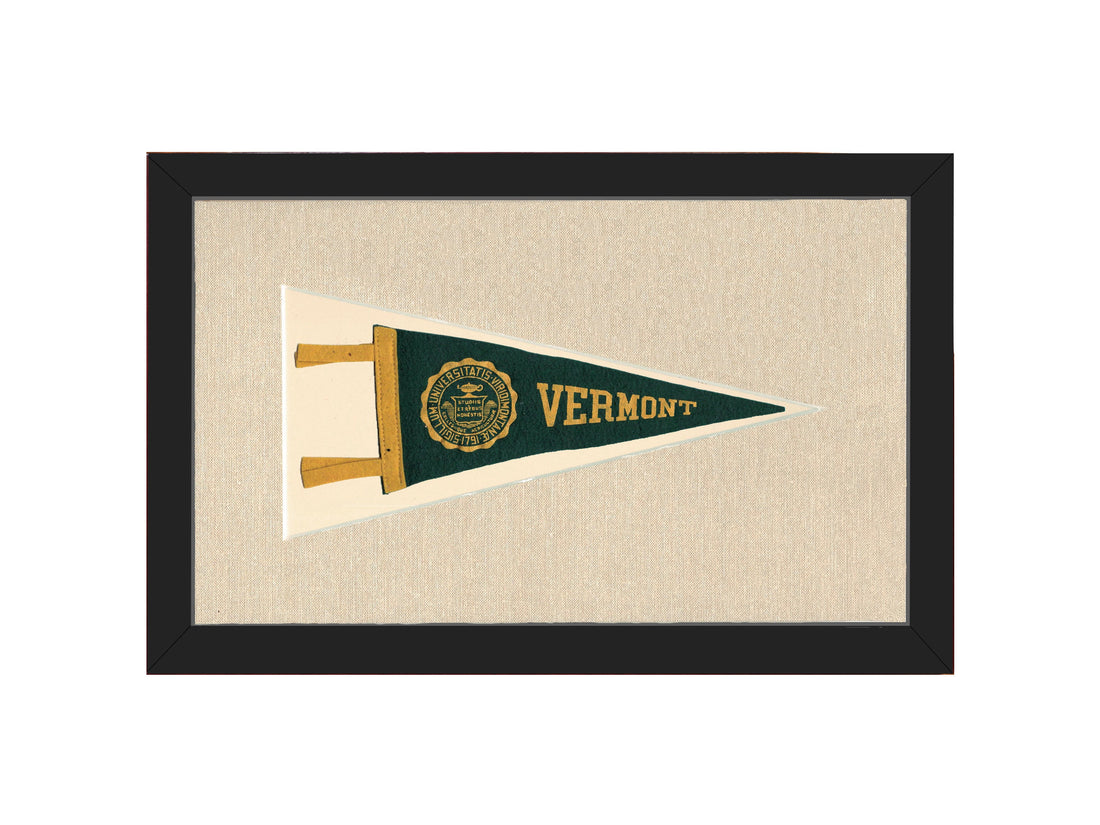 Vintage Vermont University Pennant