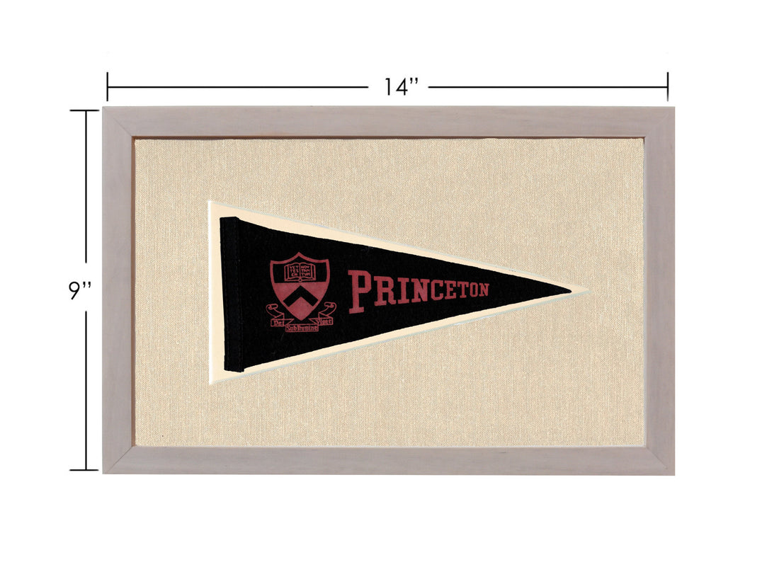 Vintage Princeton Pennant