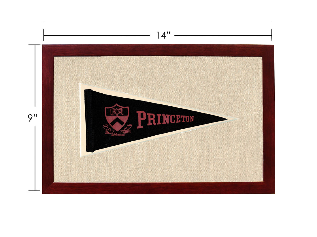 Vintage Princeton Pennant