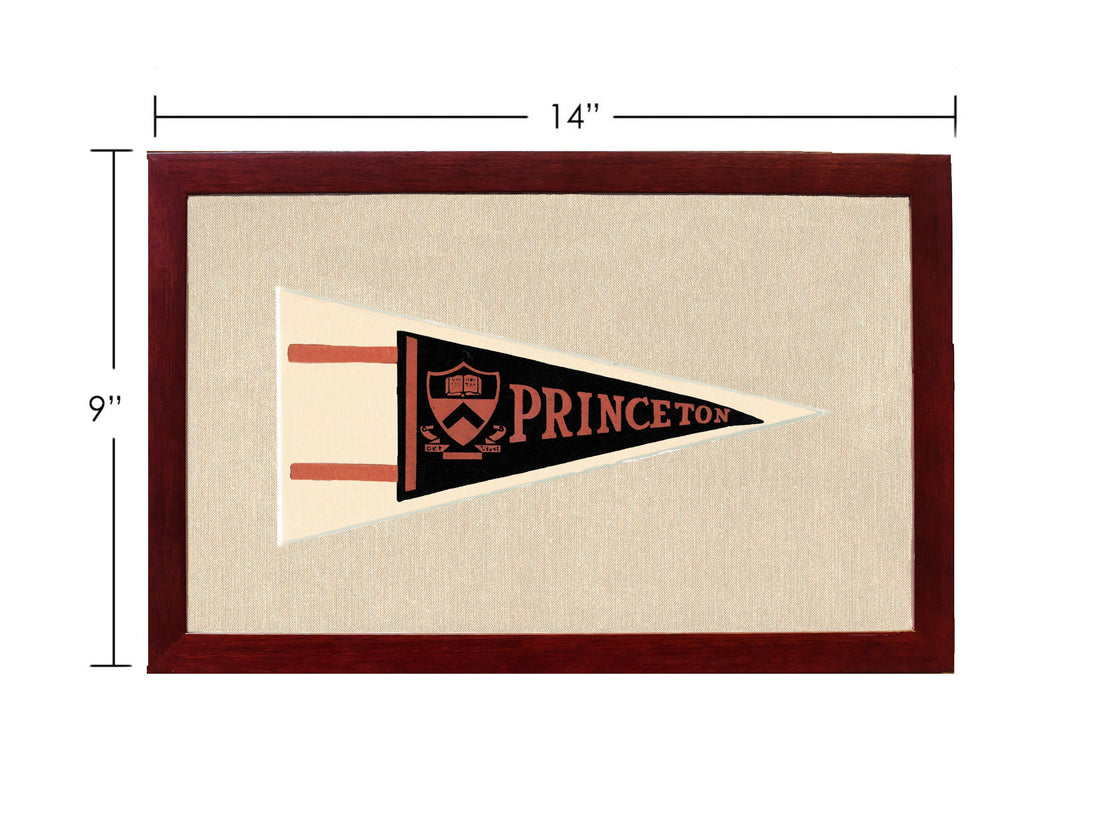 Vintage Princeton Pennant