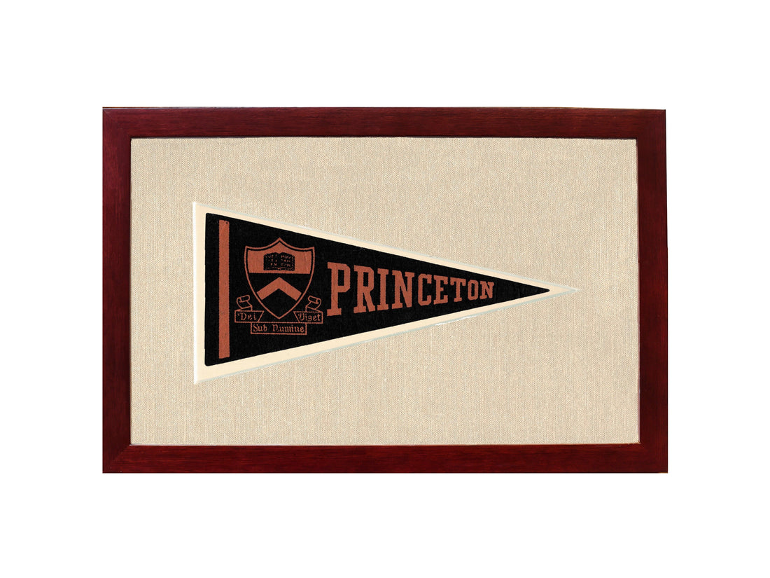 Vintage Princeton Pennant