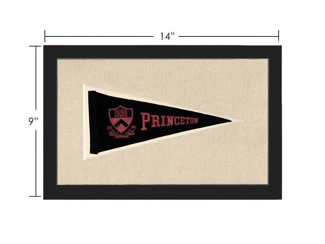 Vintage Princeton Pennant