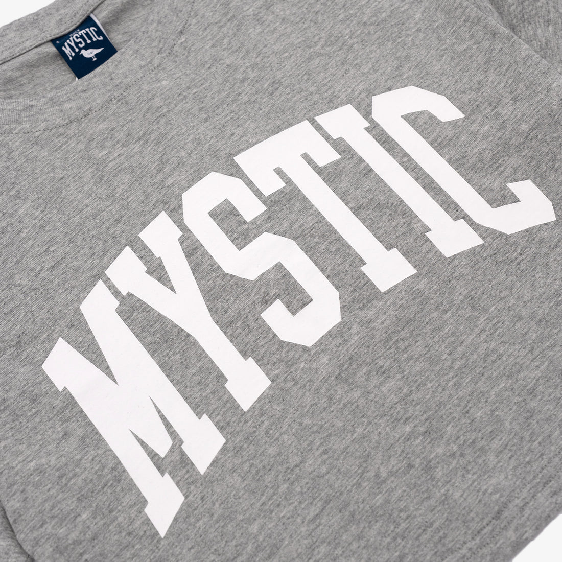 Women's Crop T-Shirt in Dark Gray