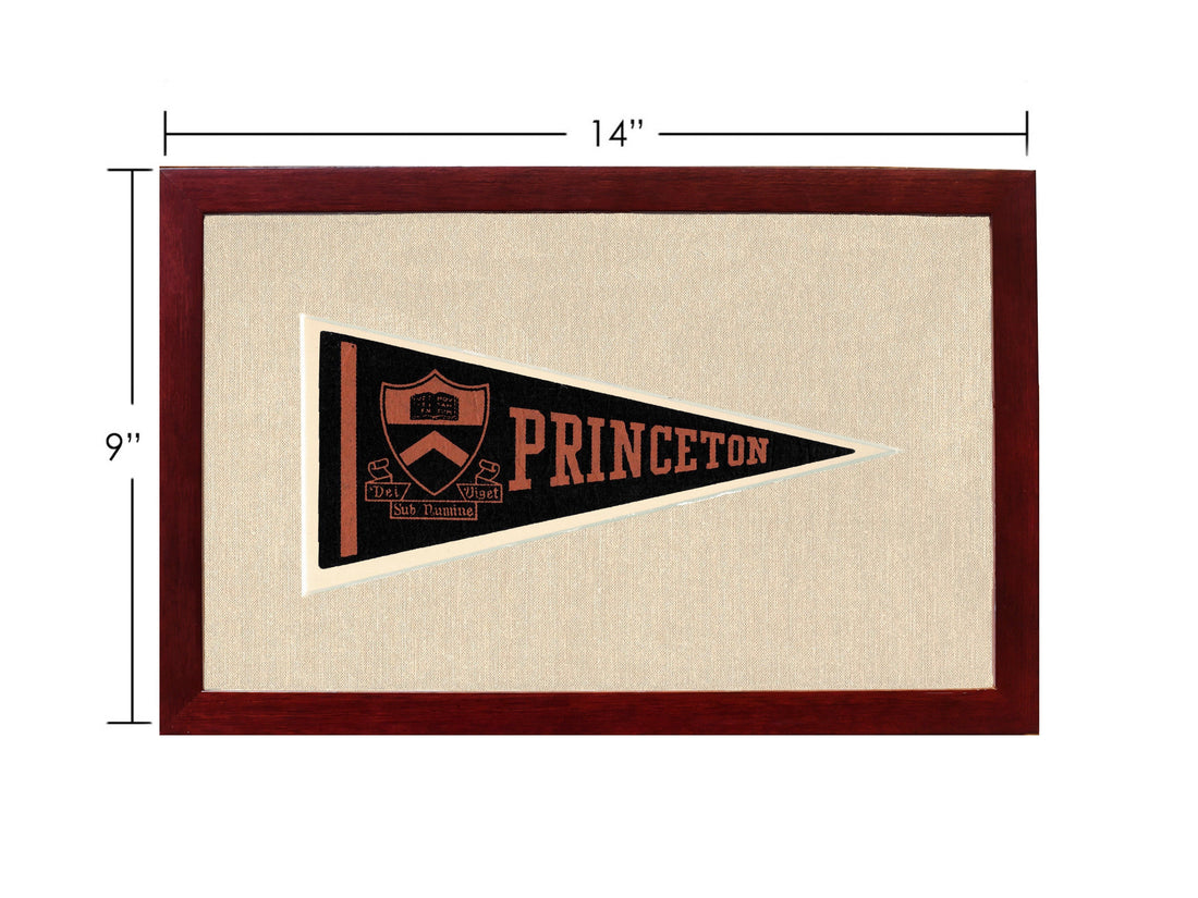 Vintage Princeton Pennant