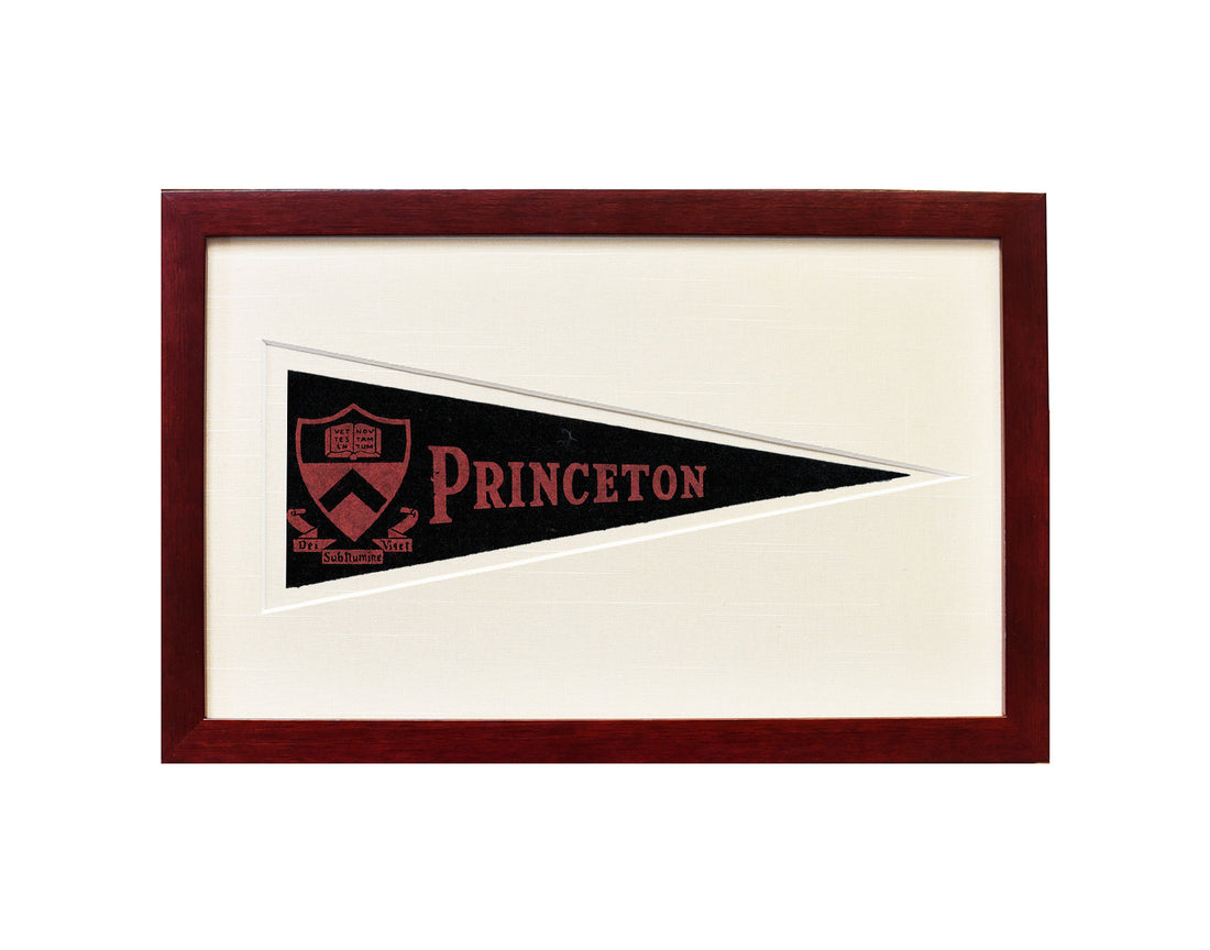 Vintage Princeton University Hormel Pennant