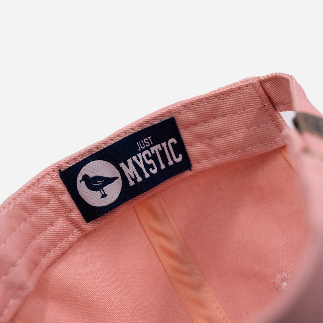 Just Mystic x Mystic Drawbridge Ice Cream Dad Hat in Pink