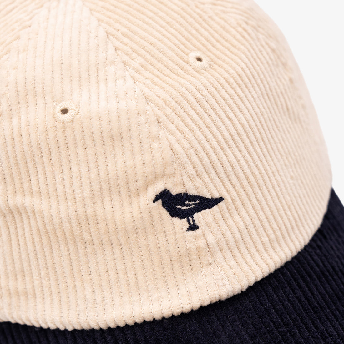 Corduroy Logo Hat in Navy/White