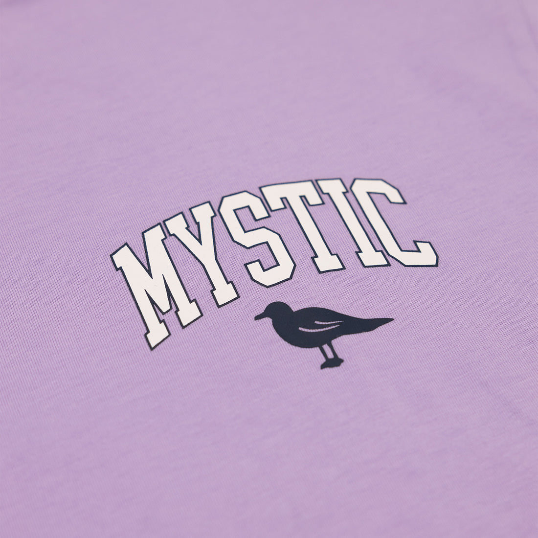Mystic Bridge Long-Sleeve Graphic Tee in Lavender