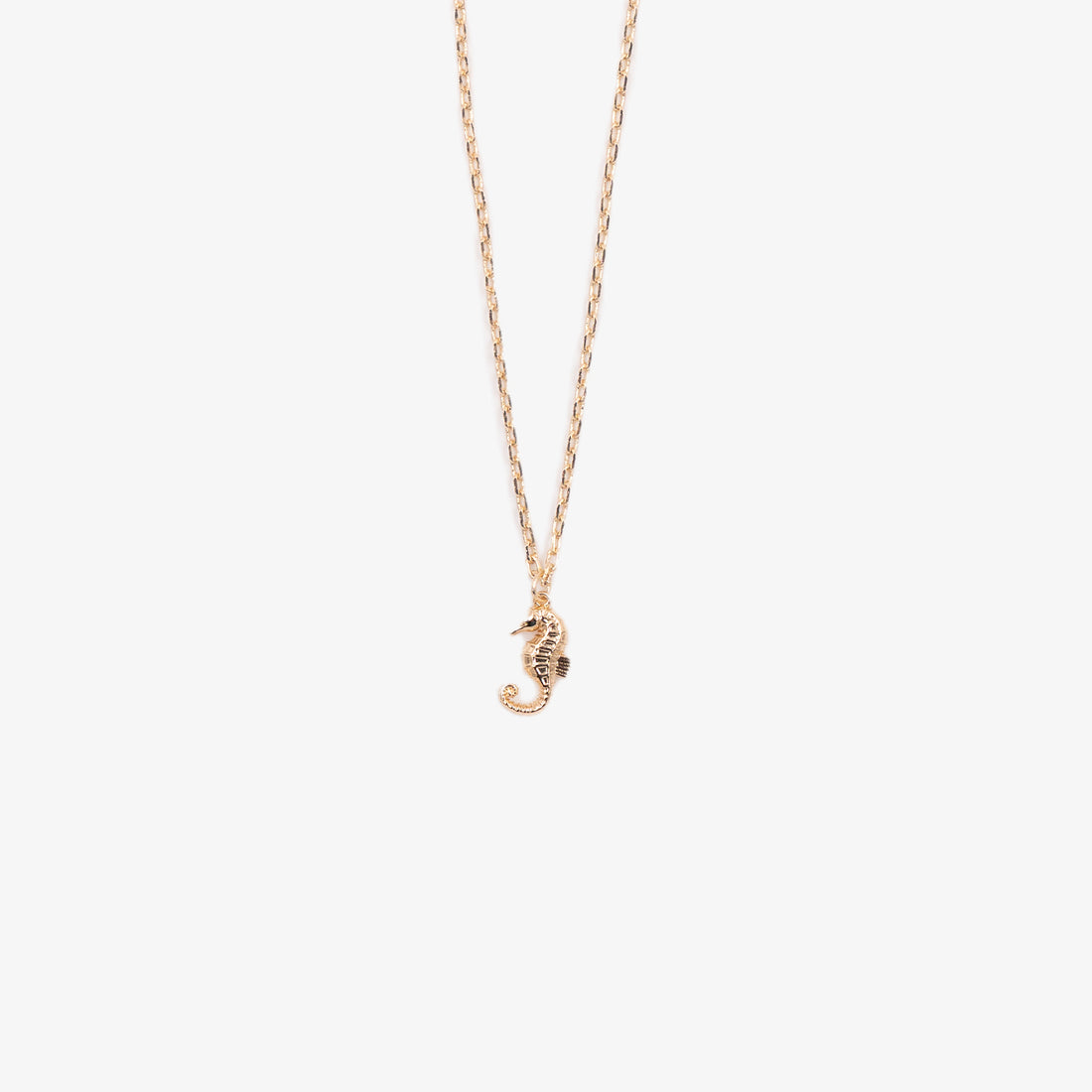 Delicate Chain Necklace with Seahorse Charm