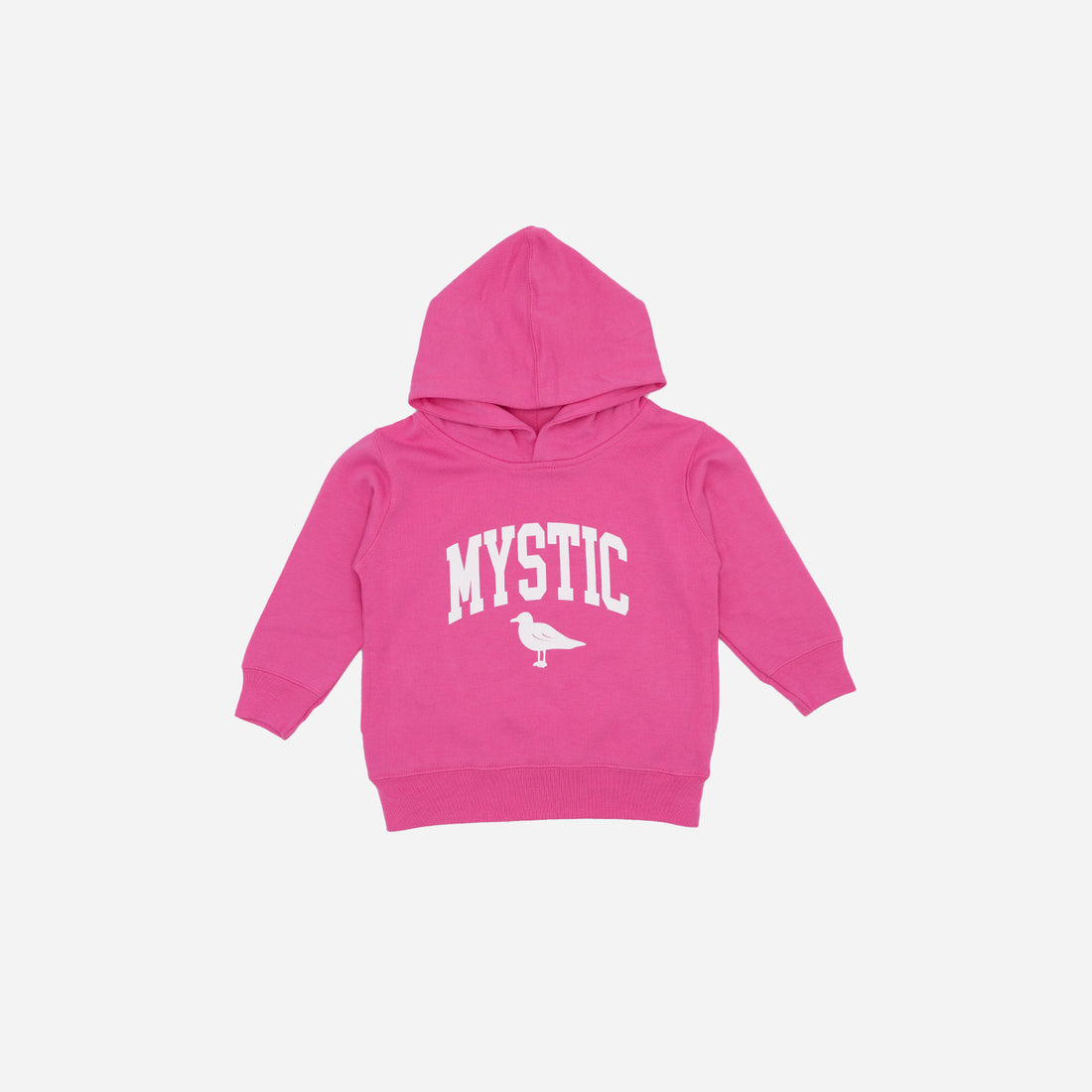 Mystic Toddler Hoodie